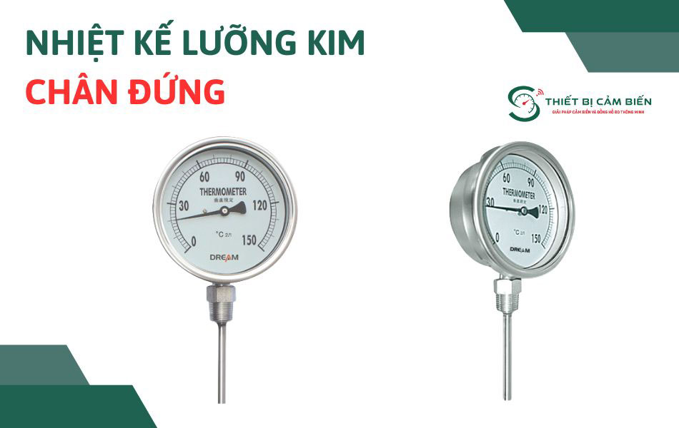 nhiet ke luong kim chan dung