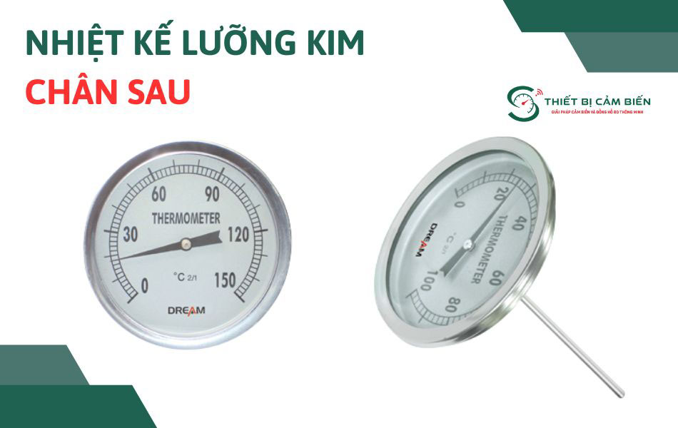 nhiet ke luong kim chan sau
