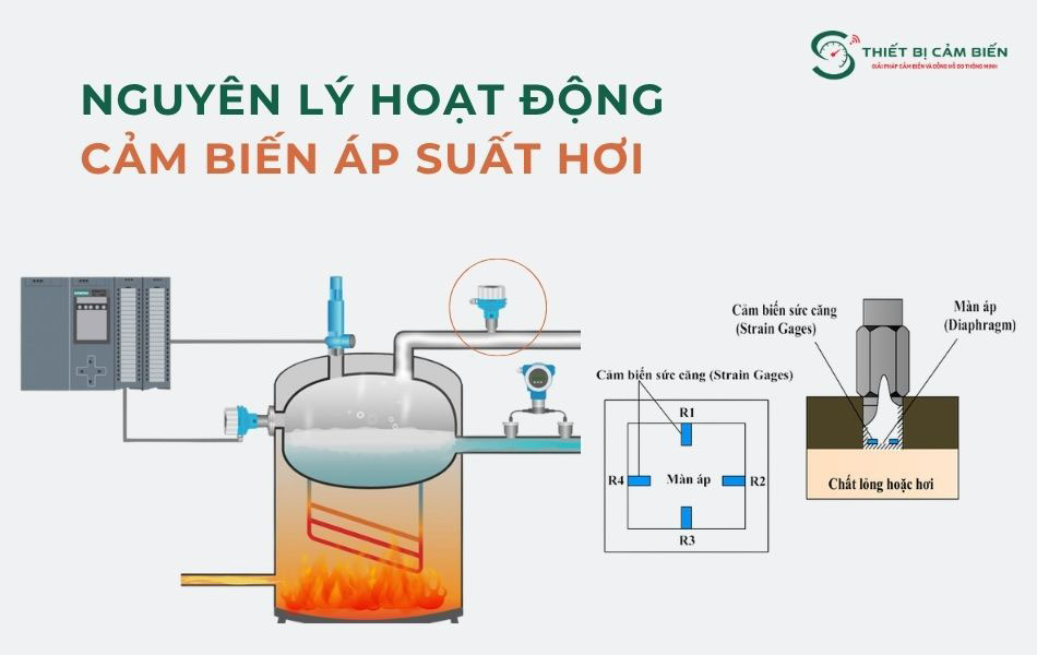 nguyen ly hoat dong cam bien ap suat hoi