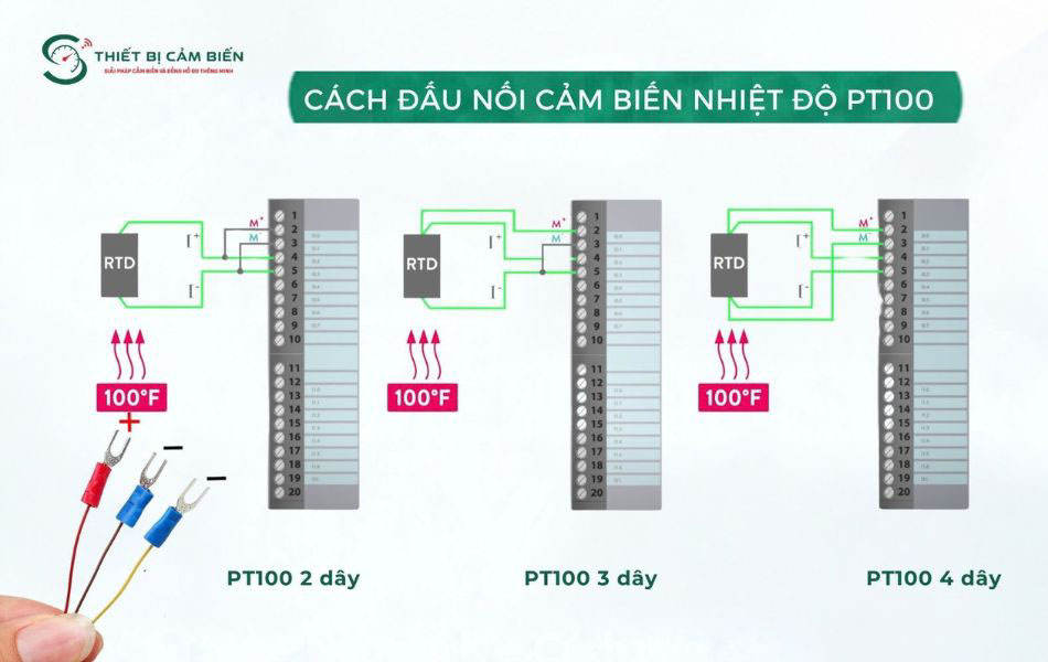 cach dau noi cam bien nhiet do pt100