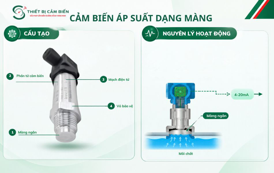 cau tao cam bien ap suat dang mang
